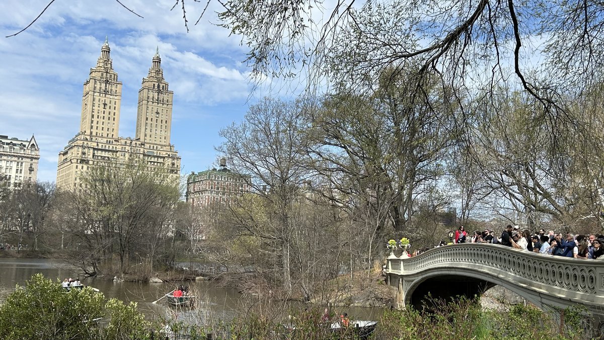 Brooklyn Botanic Garden: complete guide