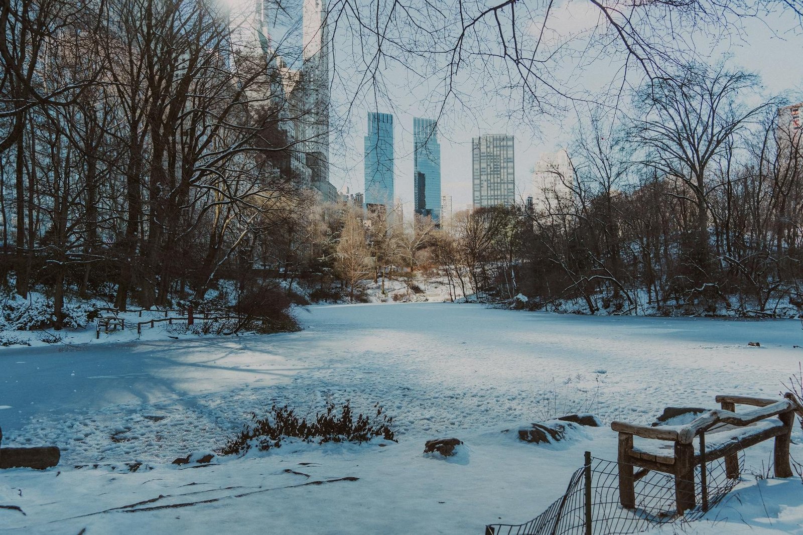 Central Park in winter, frozen pond, snow-covered trees, and iconic New York City skyline.