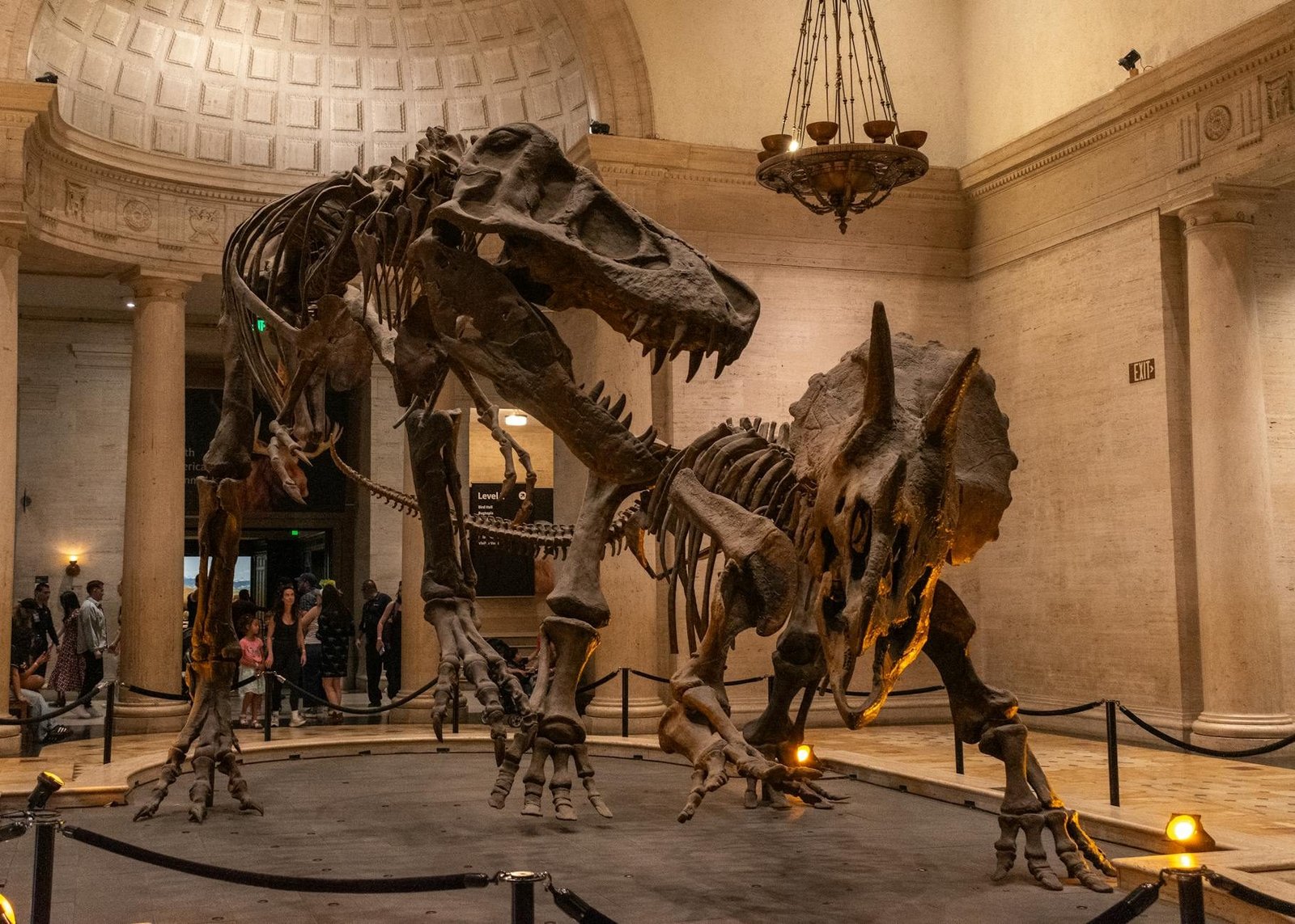 Iconic dinosaur skeletons at American Museum of Natural History, a must-visit NYC landmark.