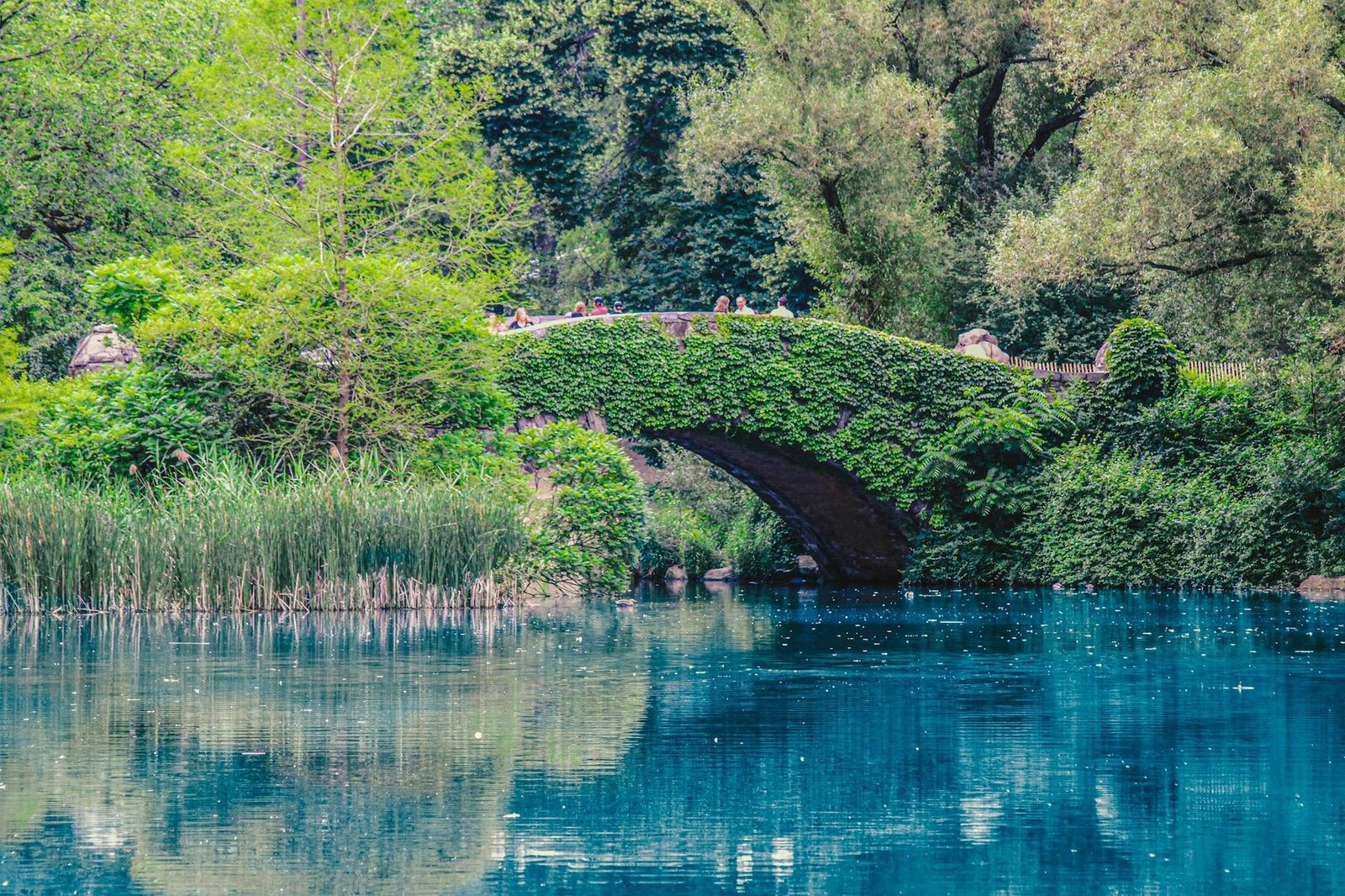 The Bronx Zoo: complete visitor guide