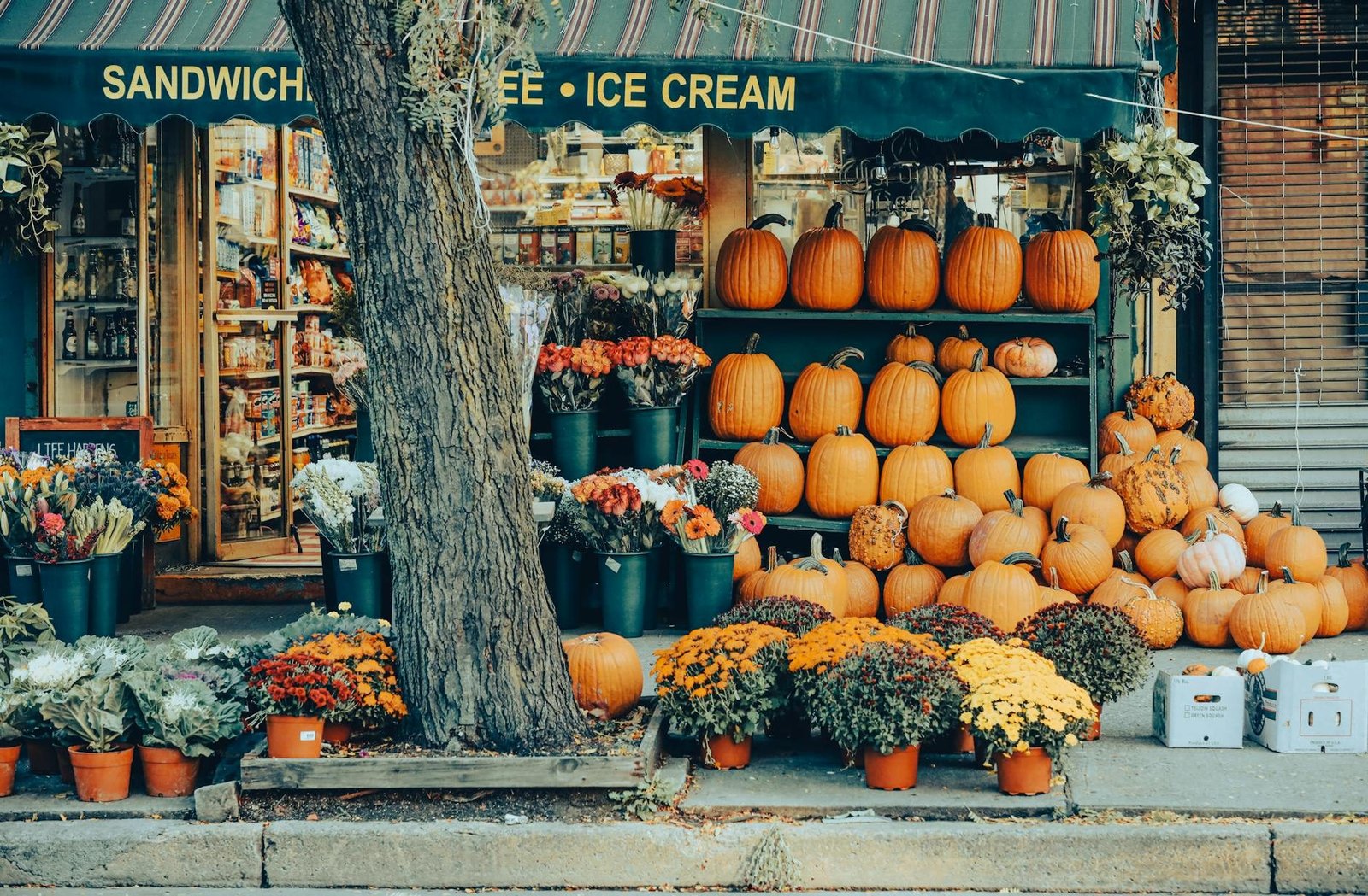 New York City street shop with fall pumpkins and colorful flowers.